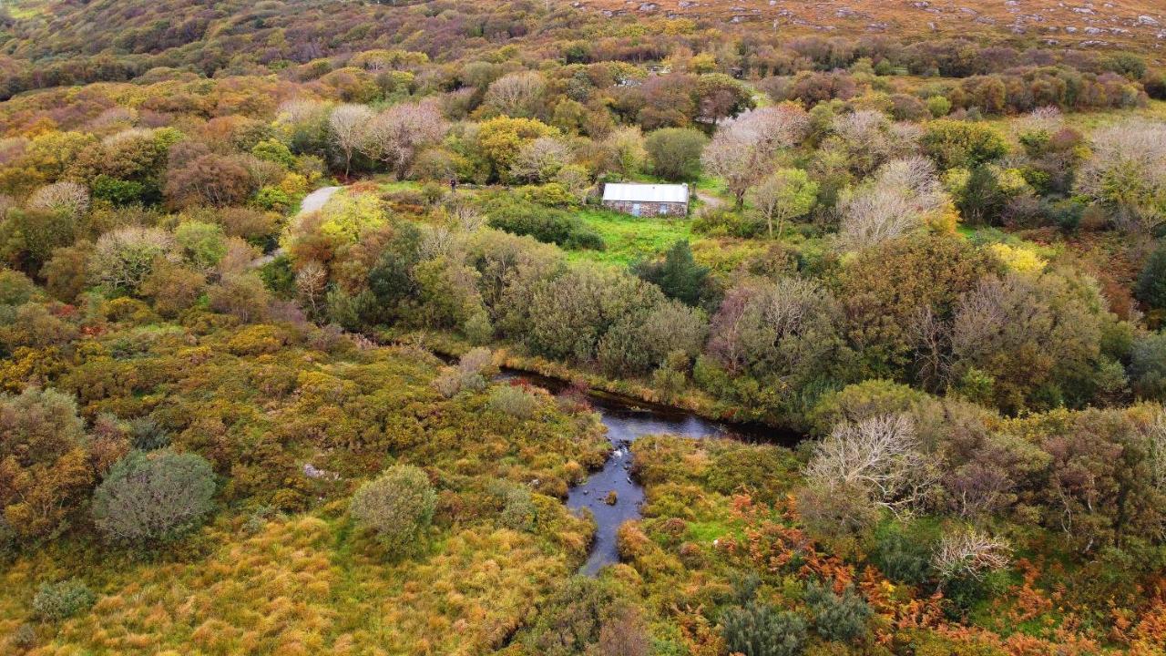 Fernwood Villa Clifden Bagian luar foto