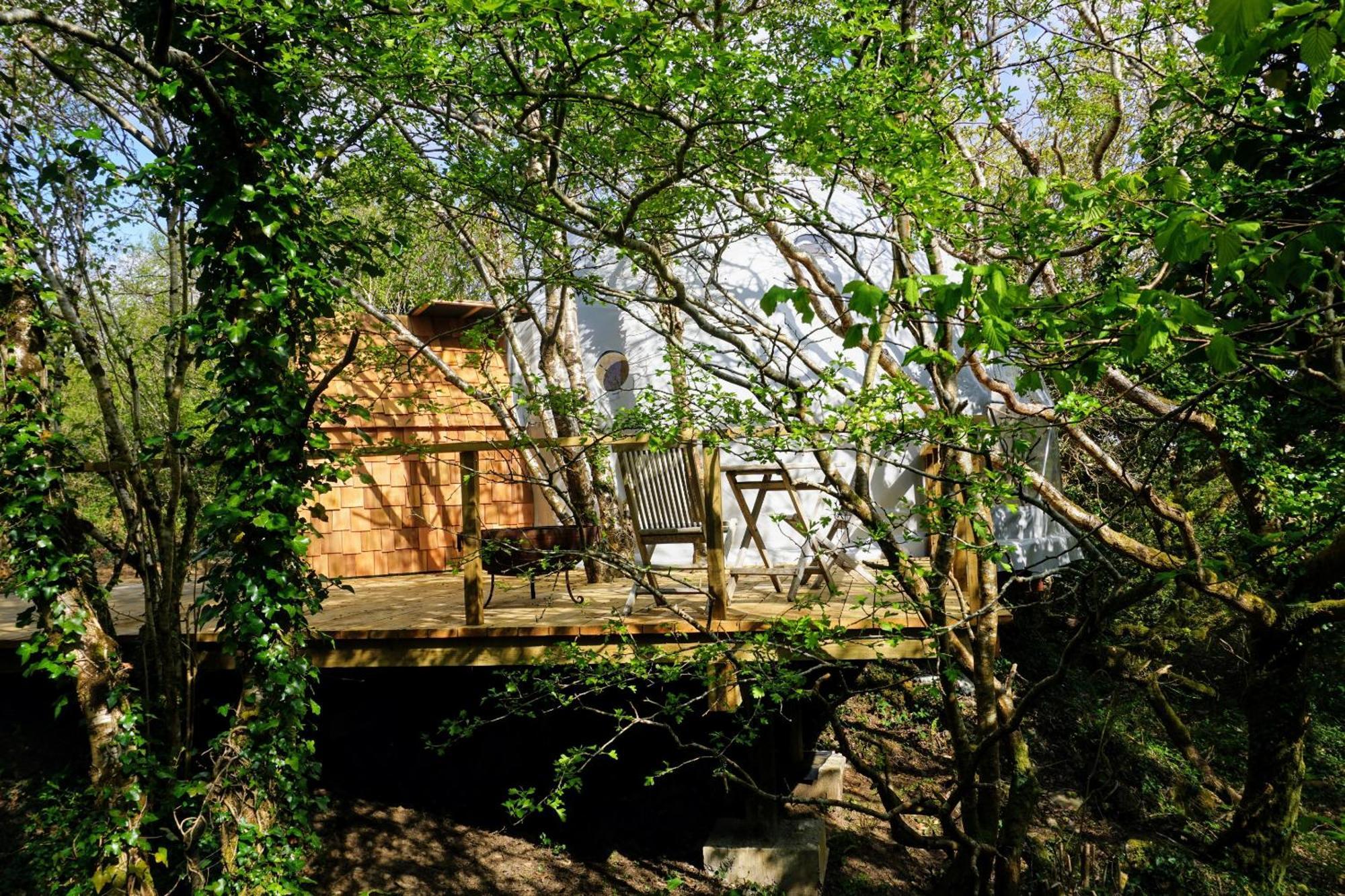 Fernwood Villa Clifden Ruang foto