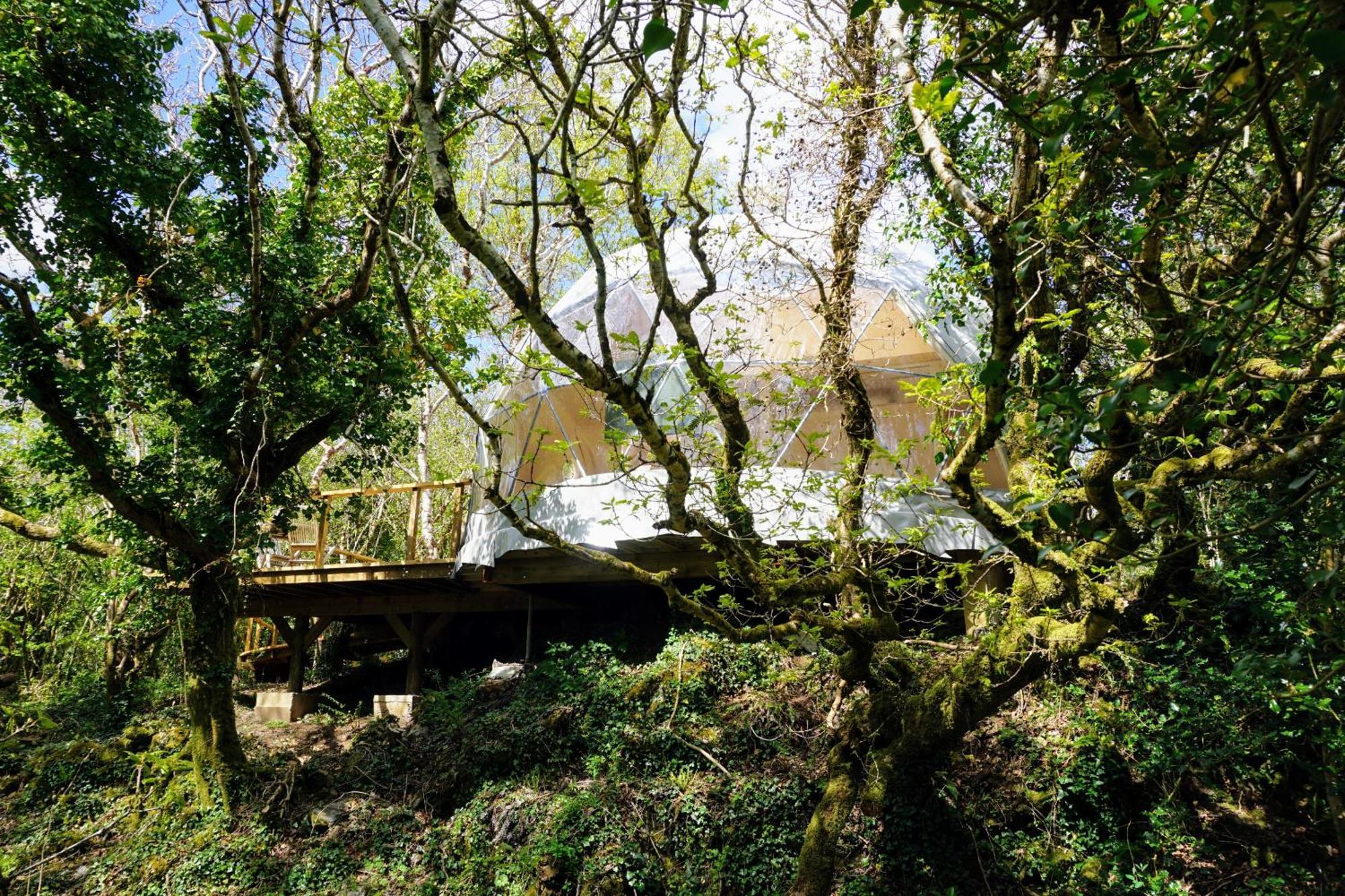 Fernwood Villa Clifden Ruang foto